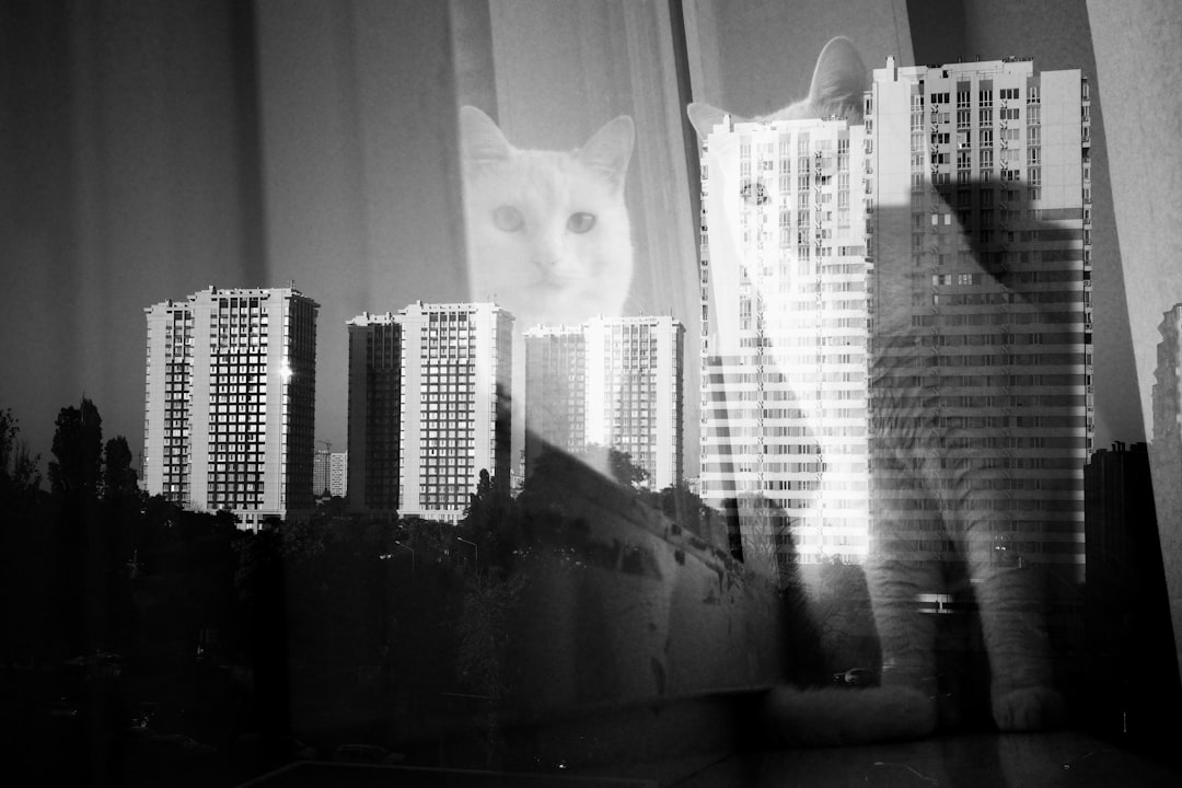 cat costa demontarea ac apartament - Demontare aer condiționat toamnă 2026: cost real bloc