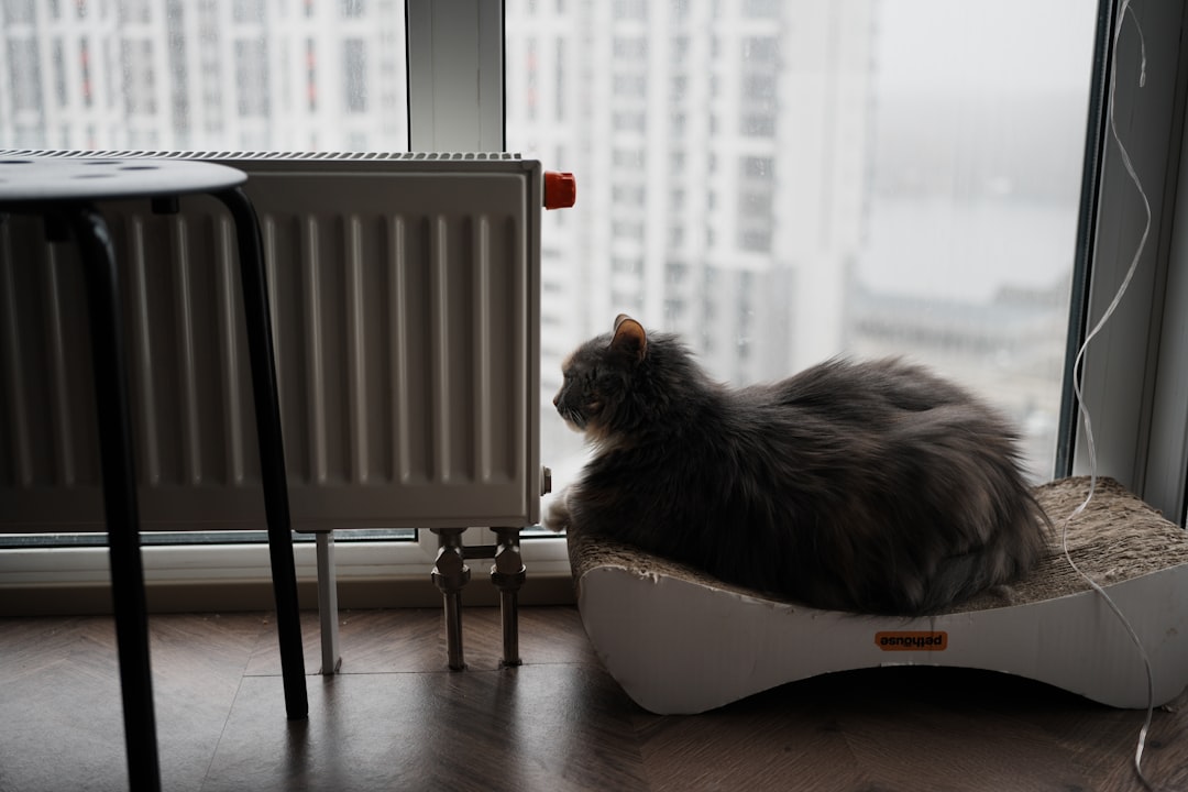 Centrală termică murală montată în bucătăria unui apartament de bloc, lângă un calorifer vechi din fontă