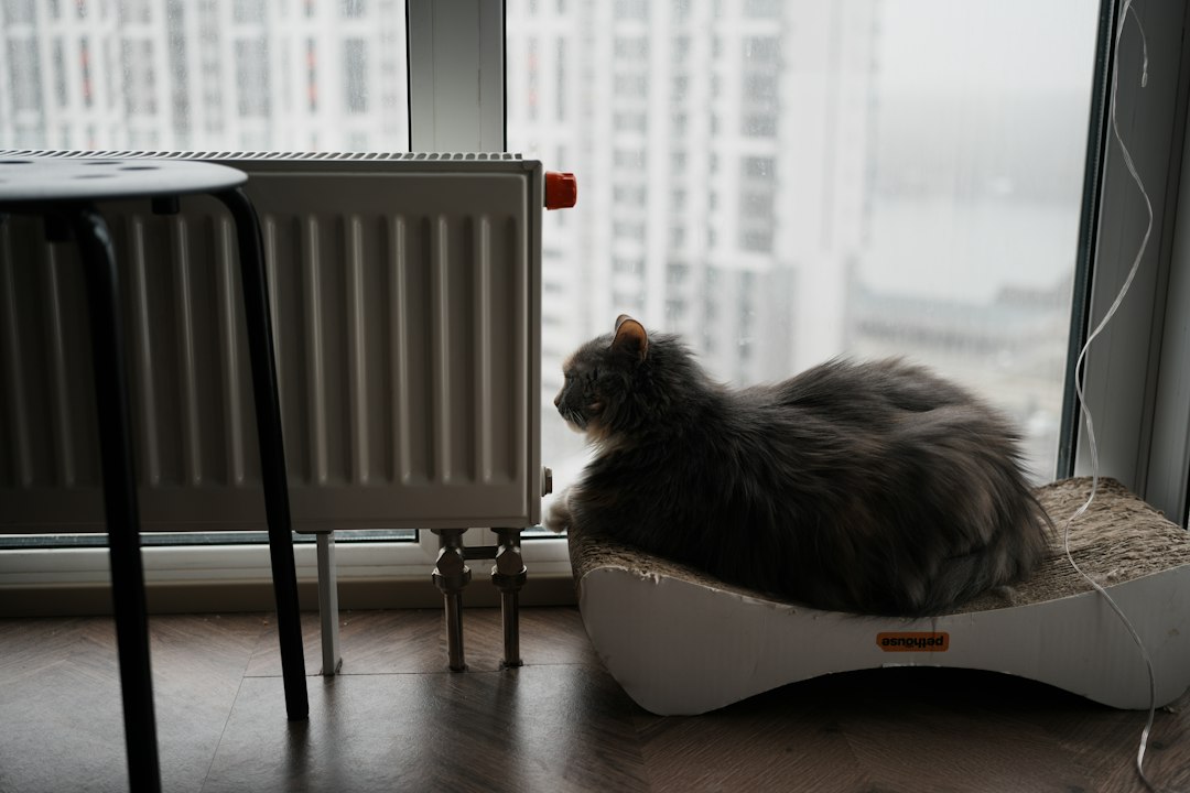 Calorifer rece într-un apartament de bloc, cu un termometru digital care arată temperatura scăzută a apei de la robinet